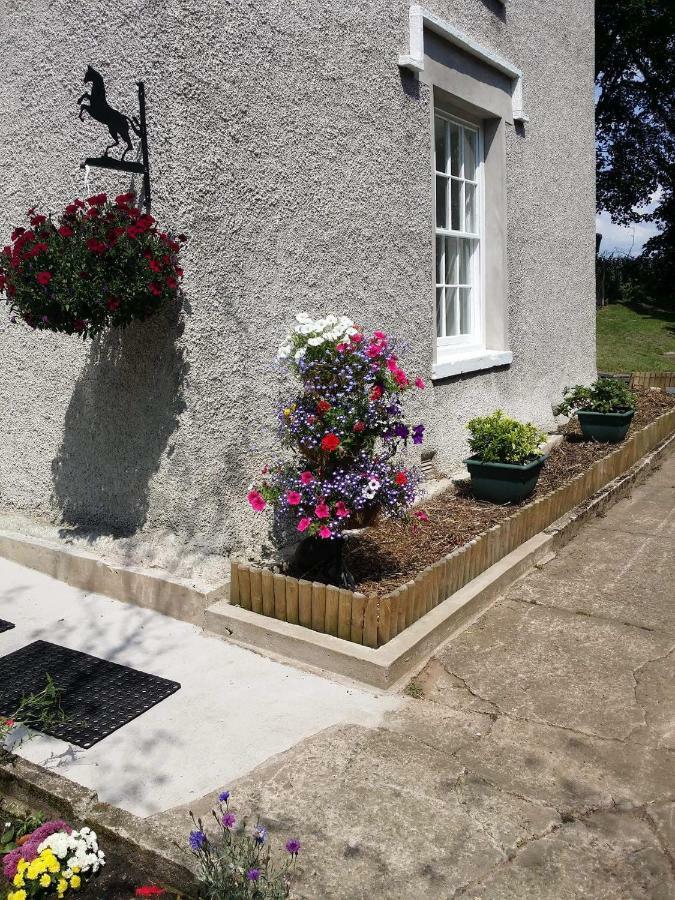 Roosecote Guest House بارو في فرنيس المظهر الخارجي الصورة